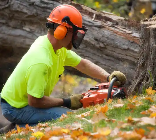 tree services Marlborough